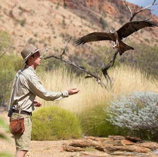Alice-Springs-Desert-Park-