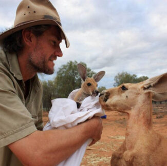 Kangaroo-Sanctuary-Alice-Springs